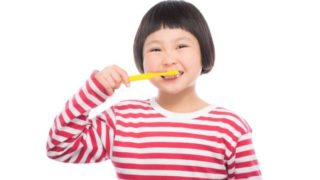 ヒルナンデス歯ブラシ