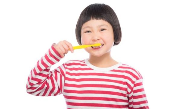 ヒルナンデス歯ブラシ