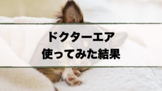 ドクターエア使用感レビュー